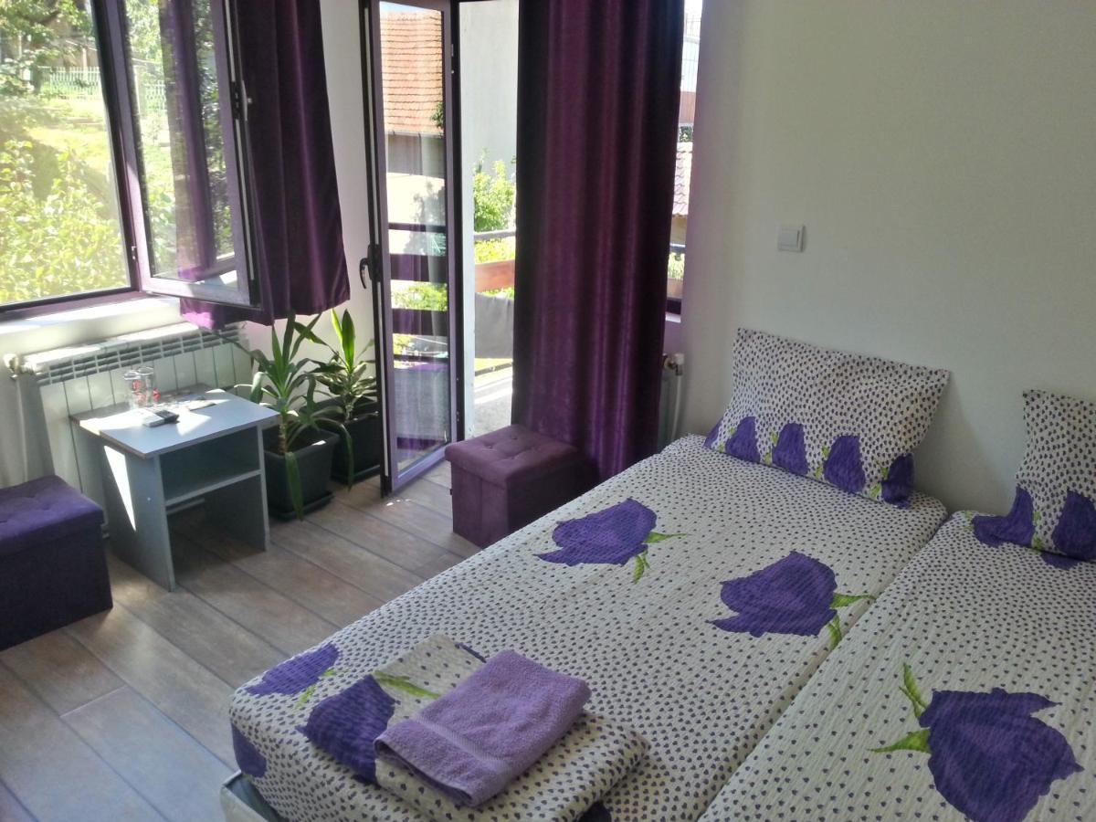 Guest House Bedrock เบโลกราดชิก ภายนอก รูปภาพ