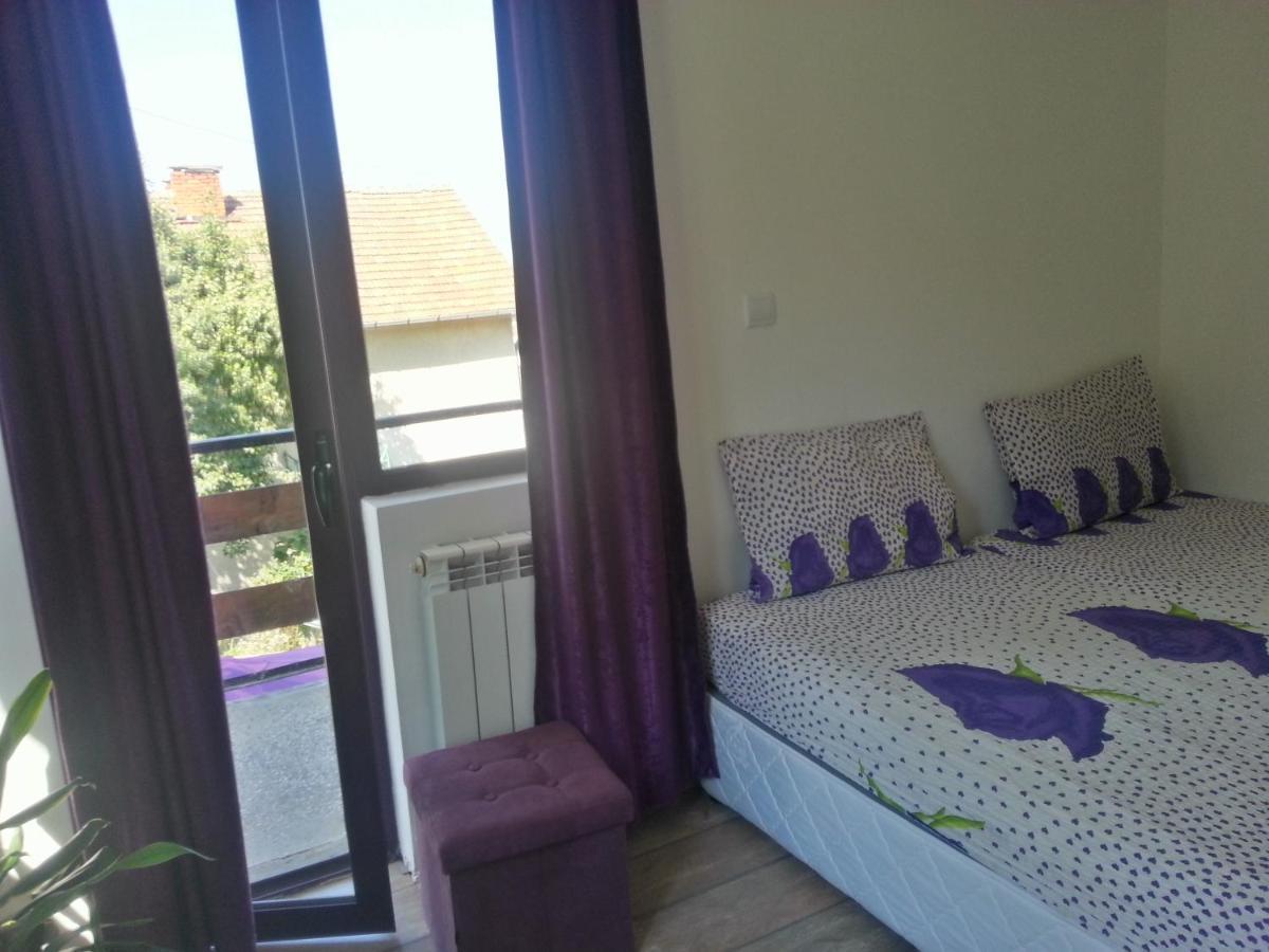 Guest House Bedrock เบโลกราดชิก ภายนอก รูปภาพ